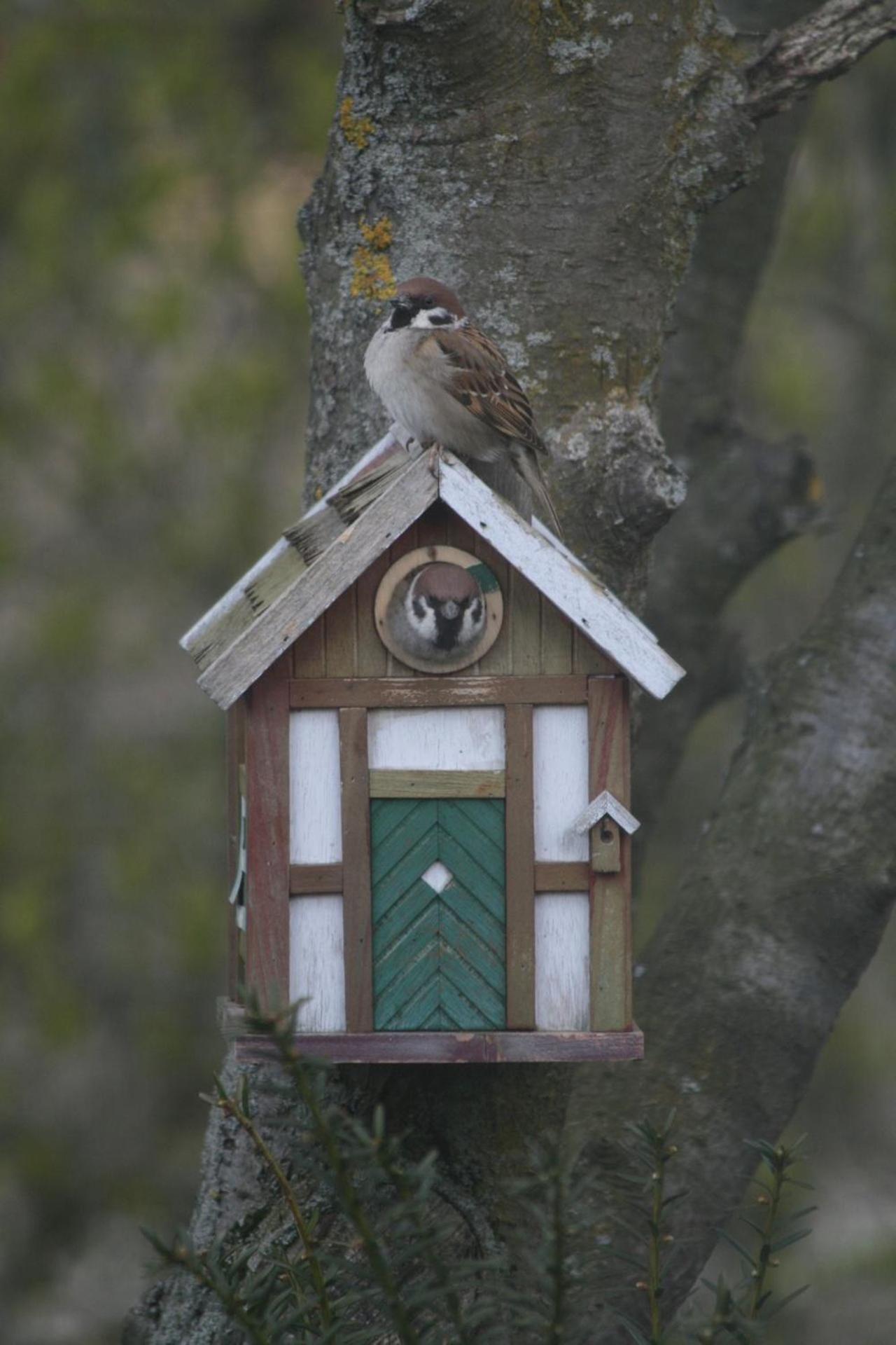 Lilla Huset Pa Slaetten B&B Lund Bagian luar foto