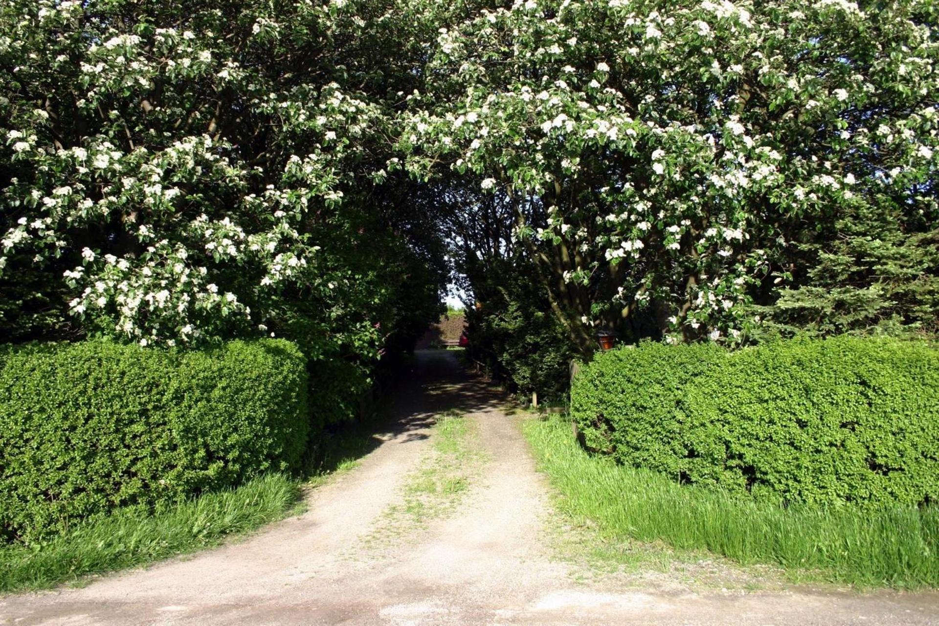 Lilla Huset Pa Slaetten B&B Lund Bagian luar foto