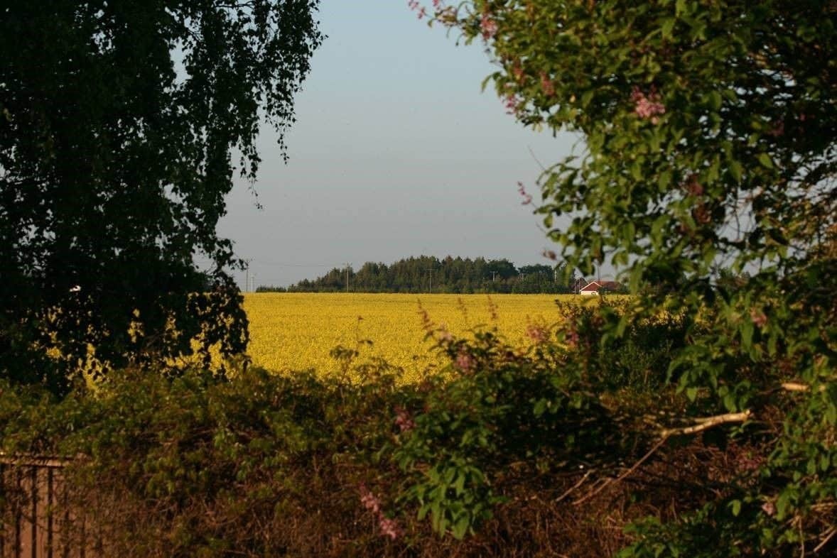 Lilla Huset Pa Slaetten B&B Lund Bagian luar foto